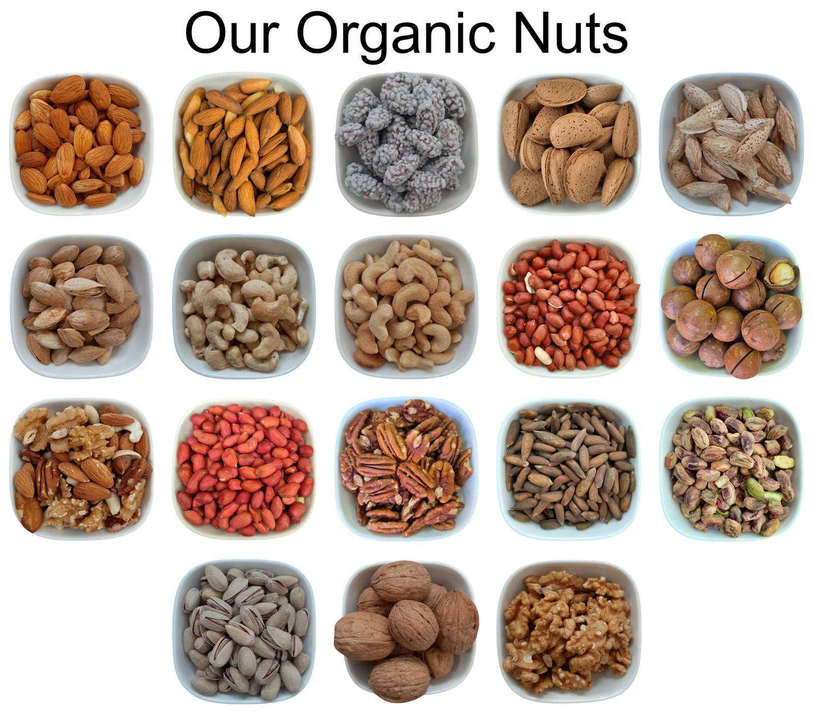 Giant Jumbo Sunflower Seeds – Natural Organic Premium-quality + Free sample!