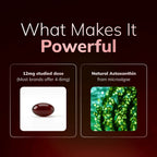 Nature's Most Powerful Antioxidant