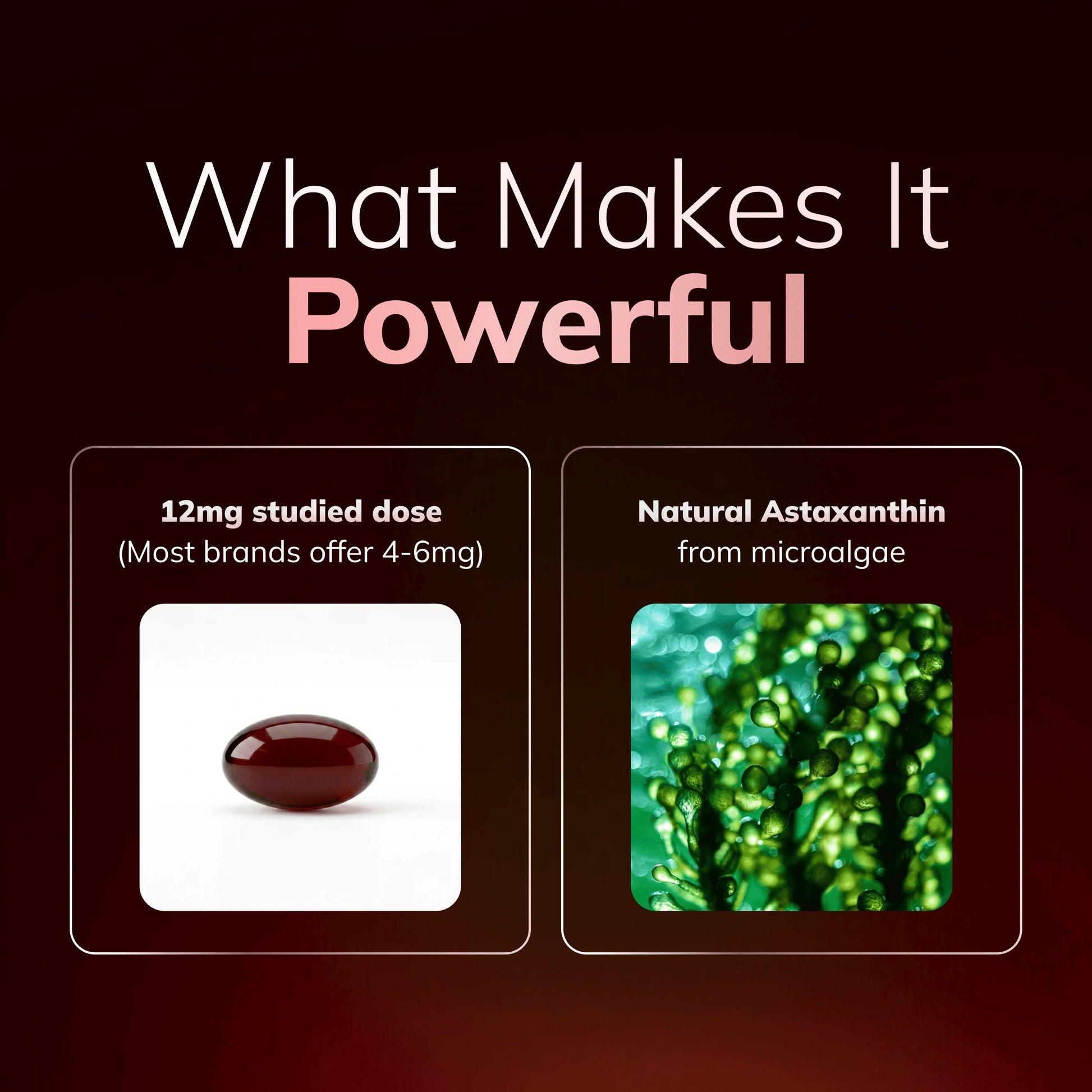 Nature's Most Powerful Antioxidant